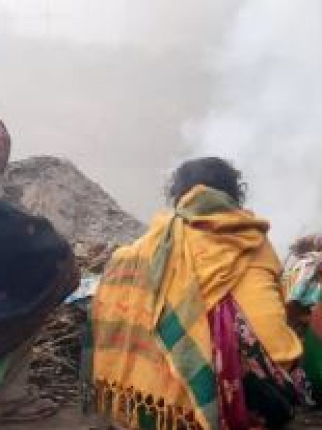 শৈত্য প্রবাহ